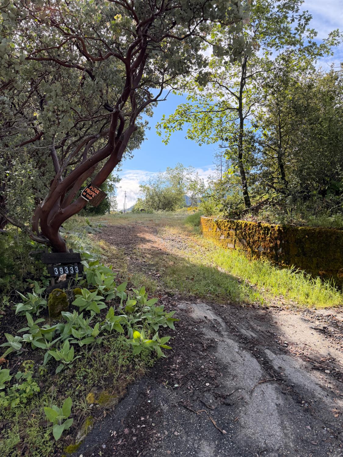 39333 Manzanita Dr, Oakhurst, CA 93644