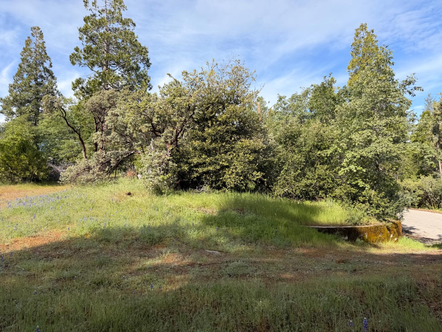 39333 Manzanita Dr, Oakhurst, CA 93644