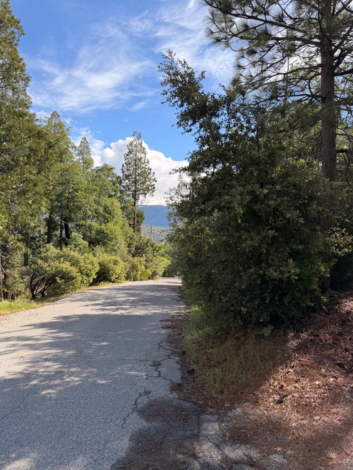 39333 Manzanita Dr, Oakhurst, CA 93644