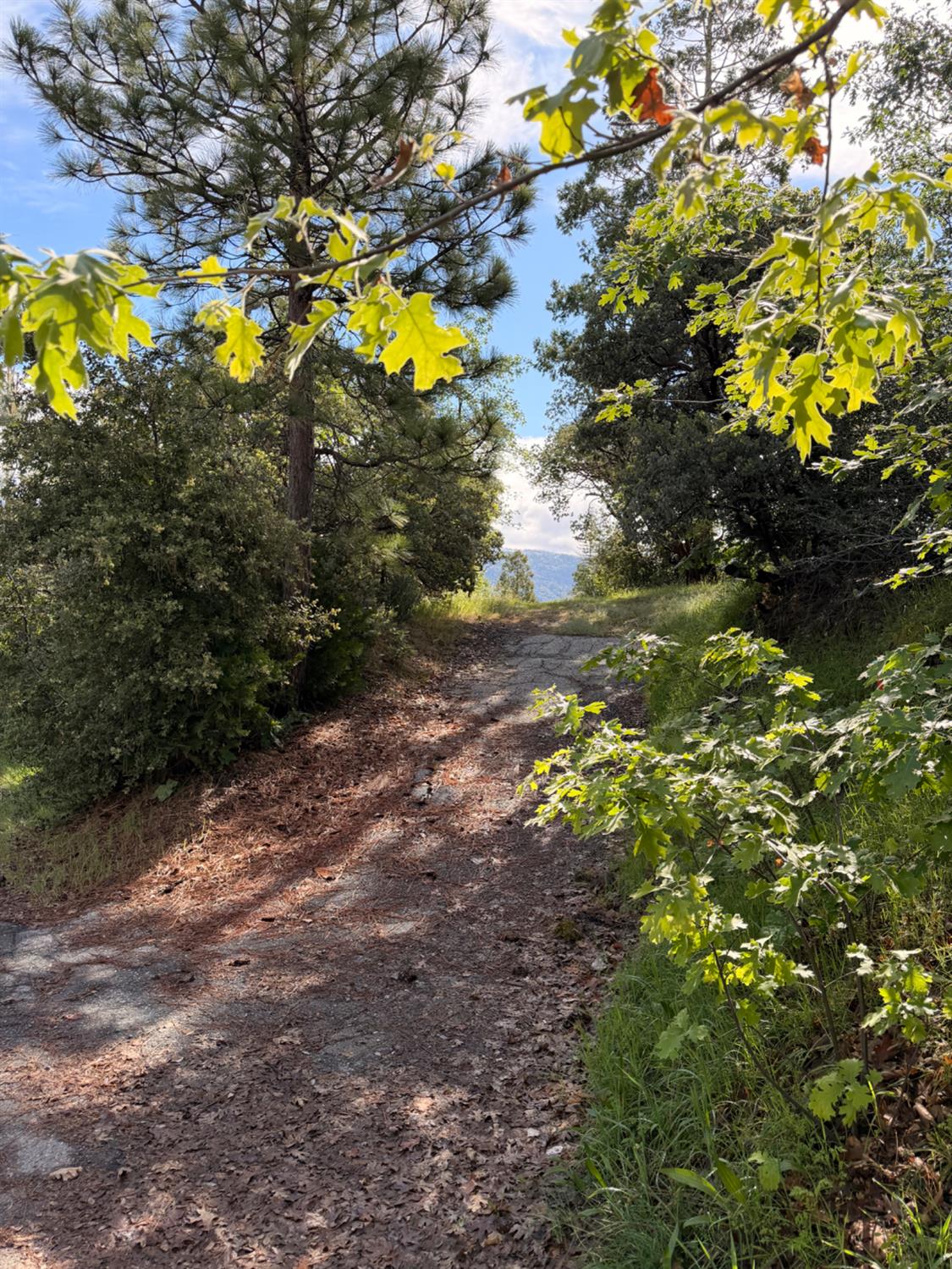 39333 Manzanita Dr, Oakhurst, CA 93644