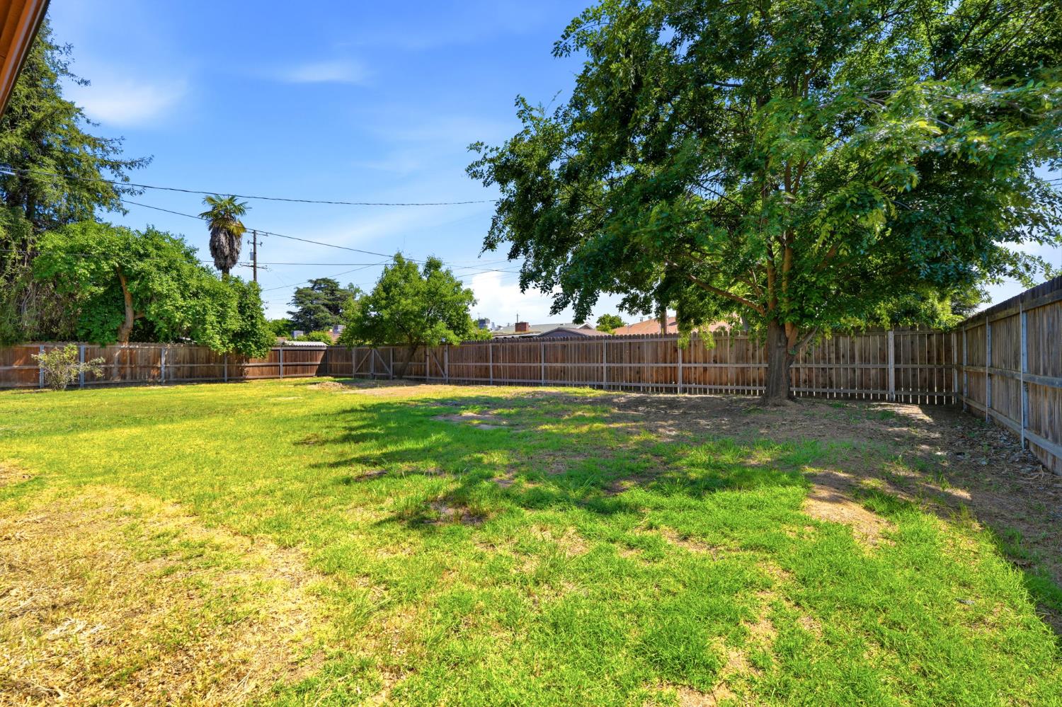 293 W Ponderosa Ave, Reedley, CA 93654