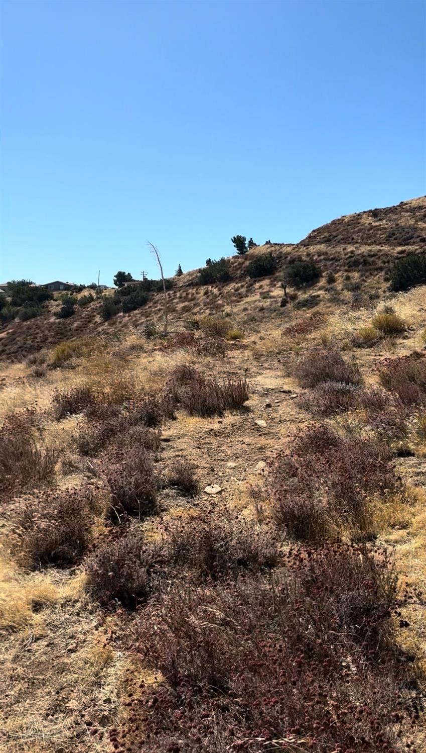 305401 7009 NA, Palmdale, CA 93511