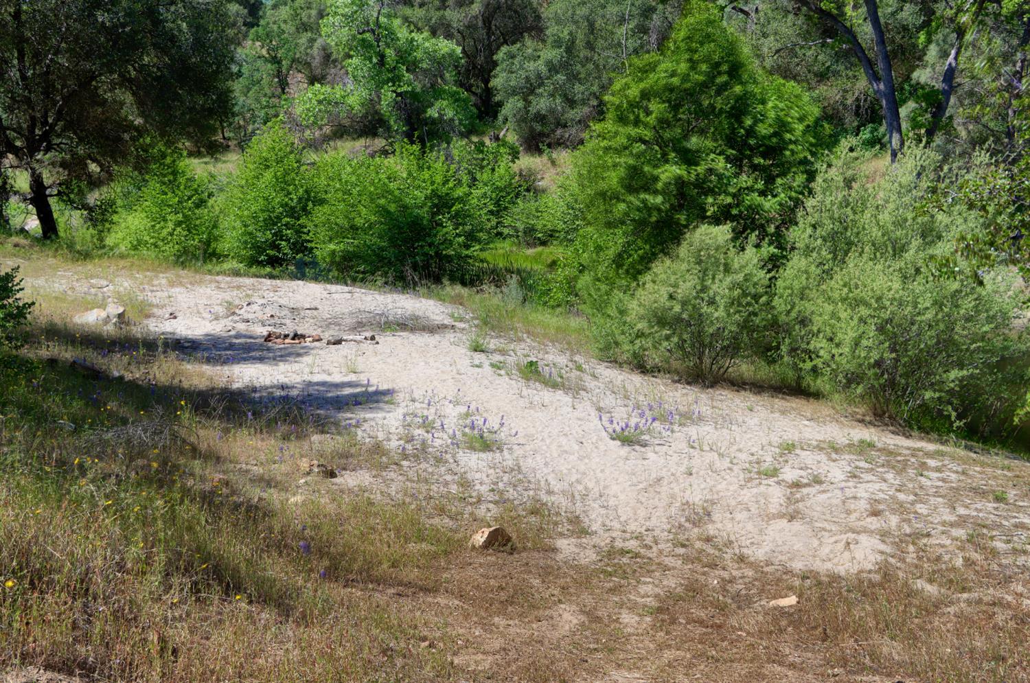 80 Polk Ranch Rd, Coarsegold, CA 93614