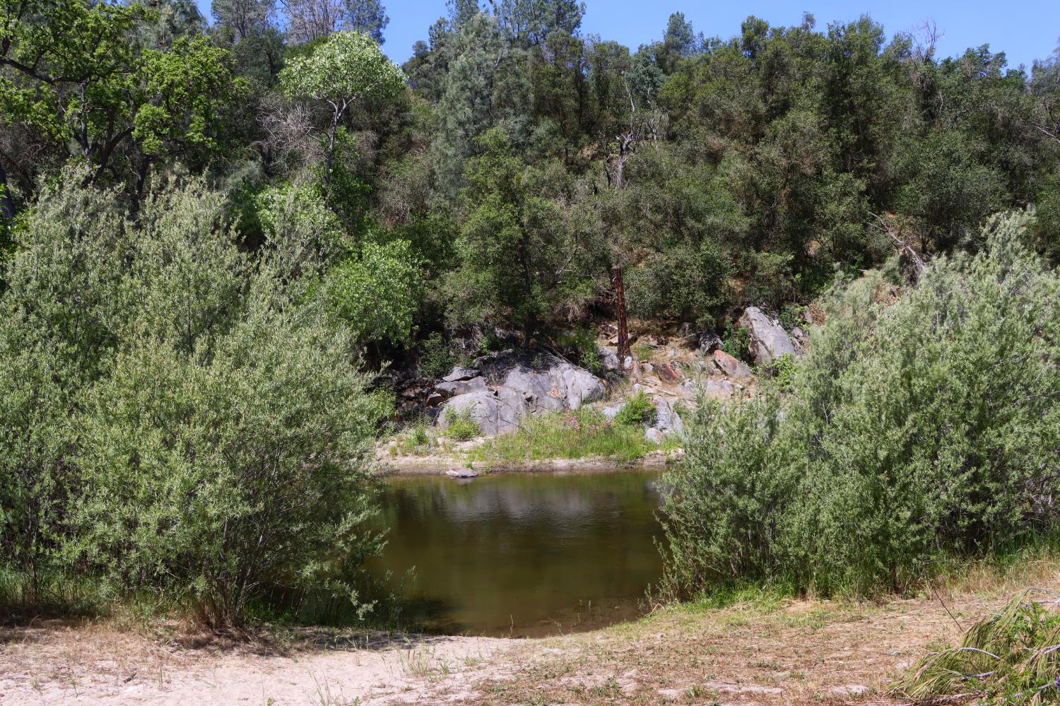 80 Polk Ranch Rd, Coarsegold, CA 93614