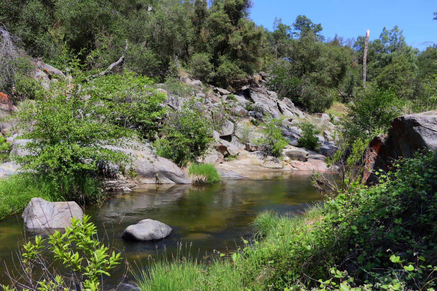 80 Polk Ranch Rd, Coarsegold, CA 93614