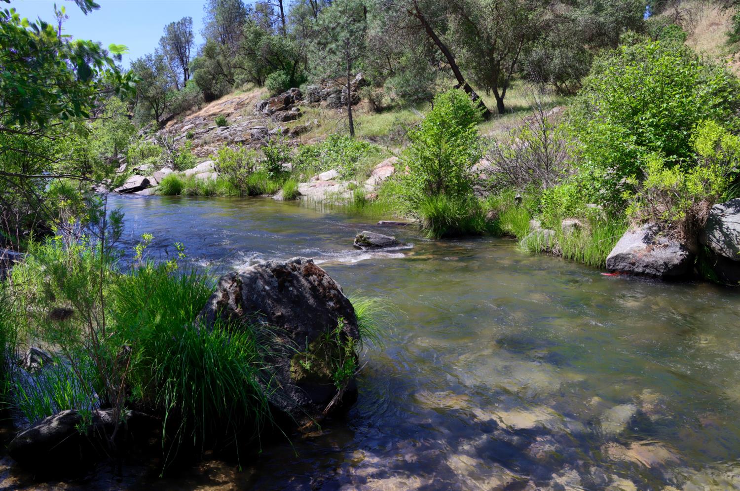 80 Polk Ranch Rd, Coarsegold, CA 93614