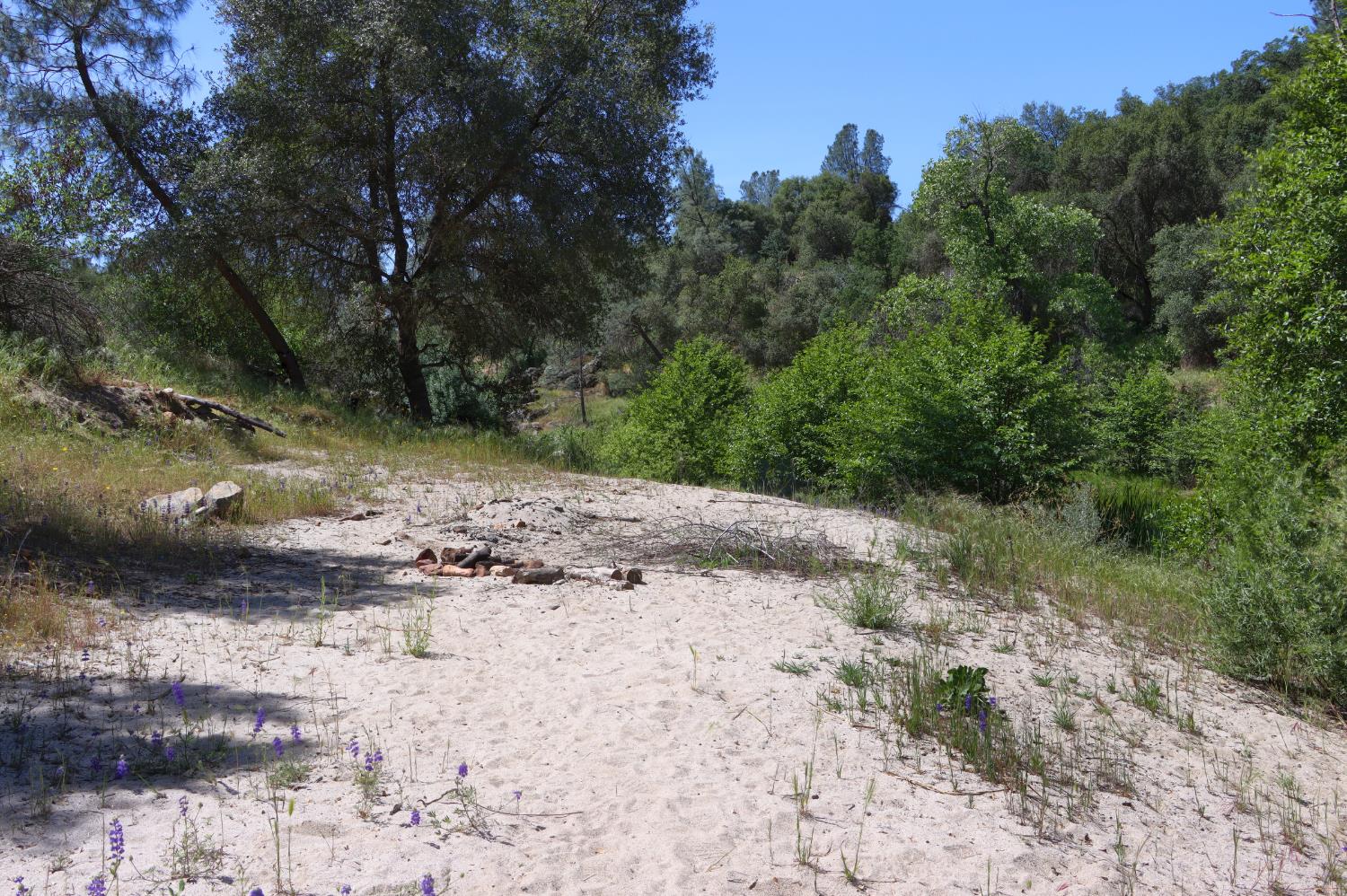 80 Polk Ranch Rd, Coarsegold, CA 93614