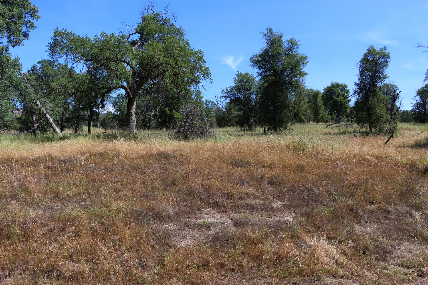 80 Polk Ranch Rd, Coarsegold, CA 93614