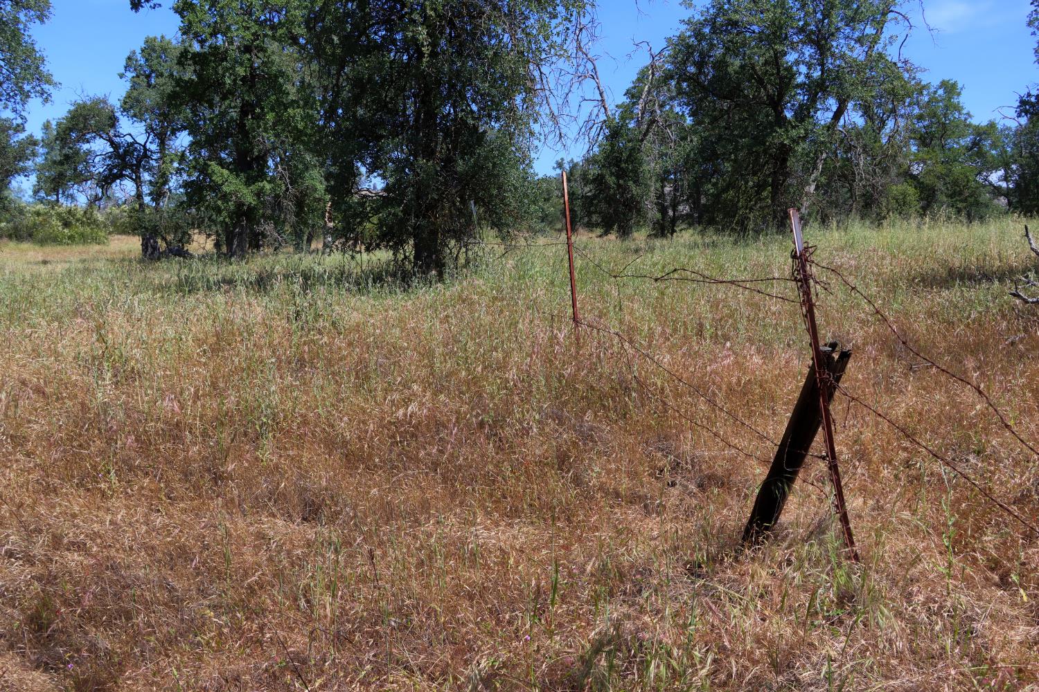 80 Polk Ranch Rd, Coarsegold, CA 93614