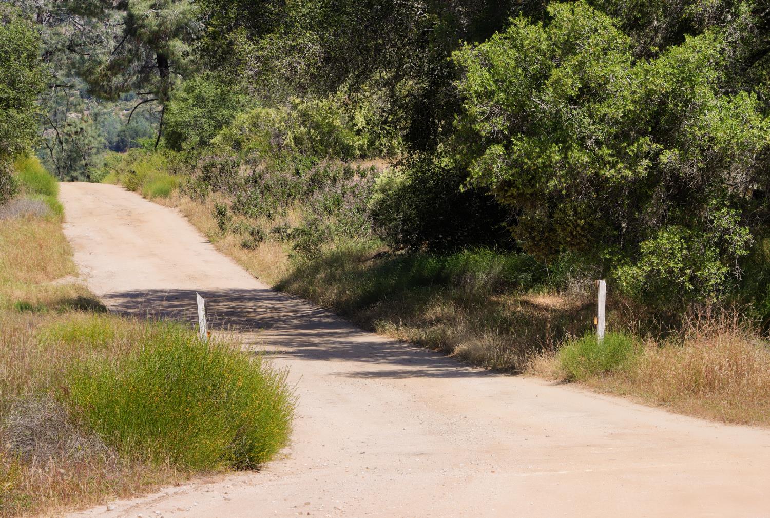 80 Polk Ranch Rd, Coarsegold, CA 93614