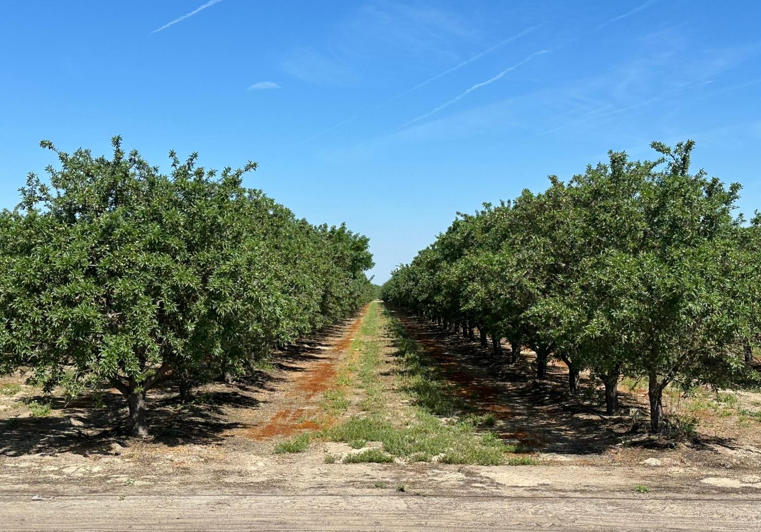 11841 S Hughes, Caruthers, CA 93609