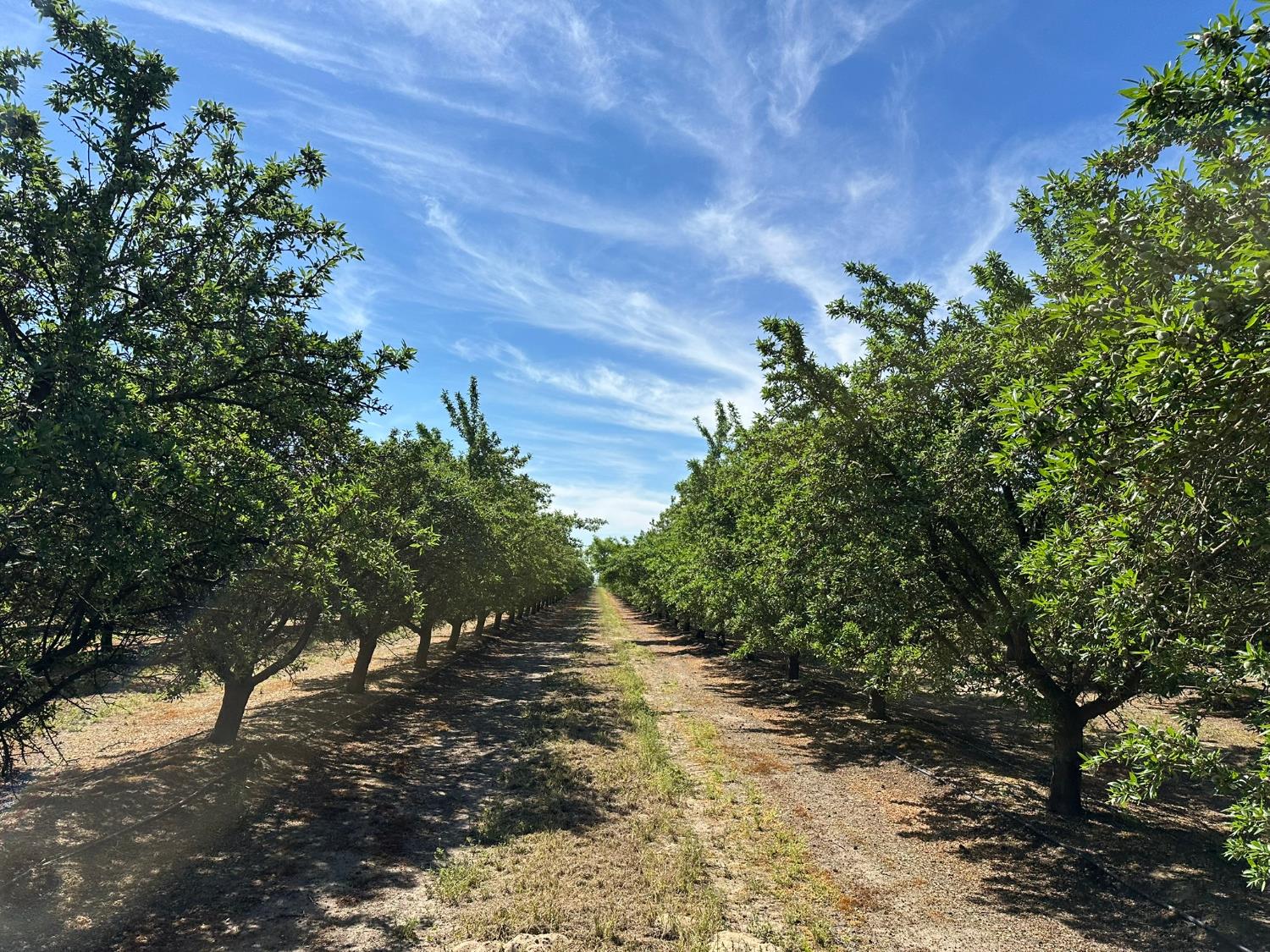 11841 S Hughes, Caruthers, CA 93609