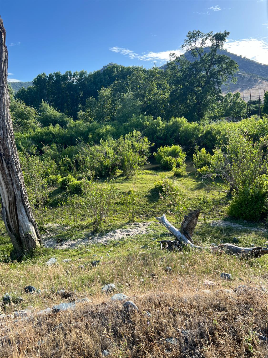 0 0 Live Oak Dr, Sanger, CA 93657
