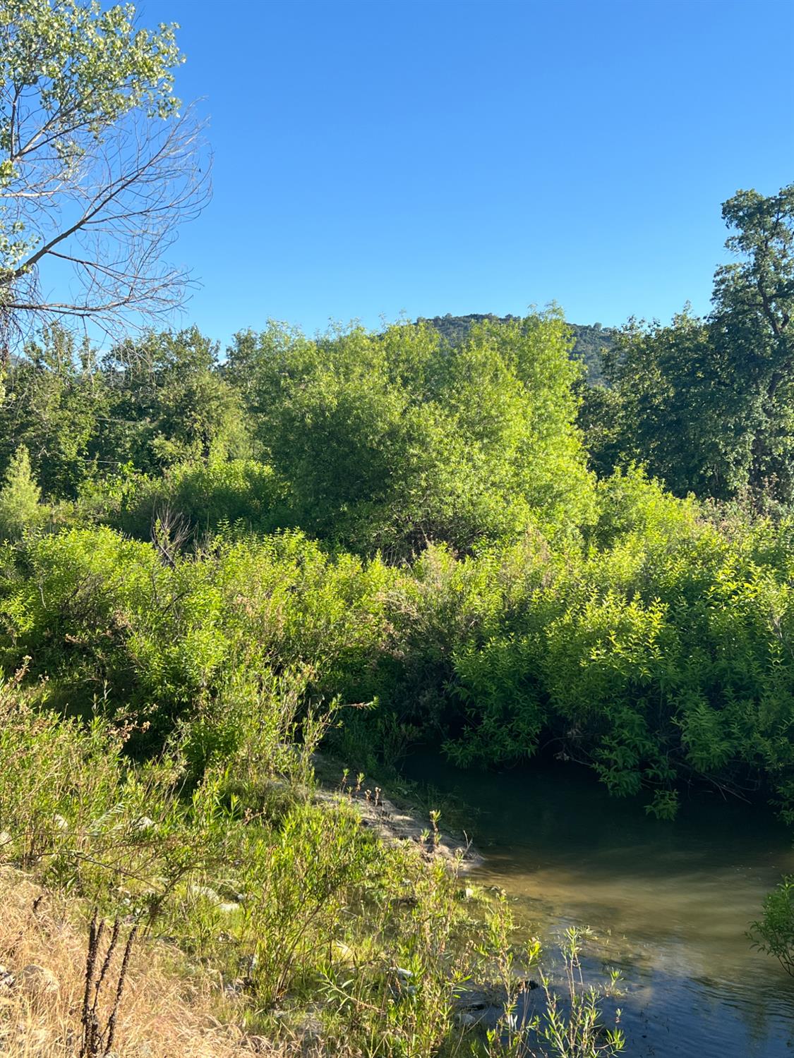 0 0 Live Oak Dr, Sanger, CA 93657