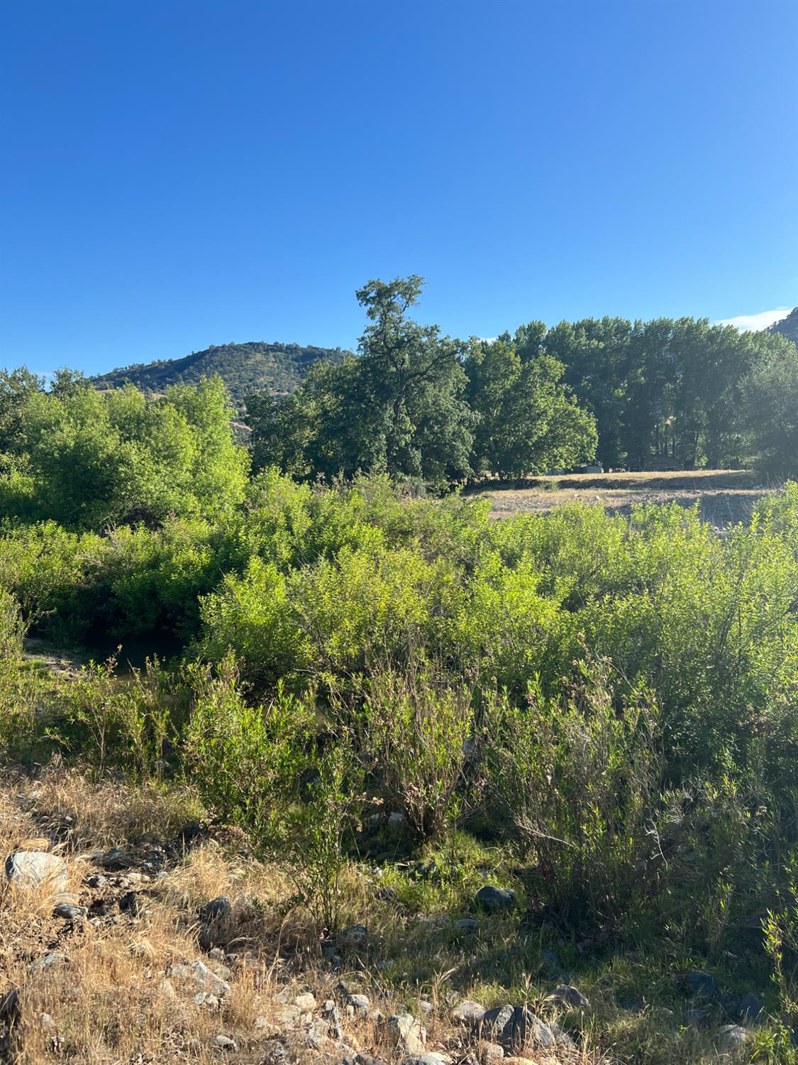 0 0 Live Oak Dr, Sanger, CA 93657