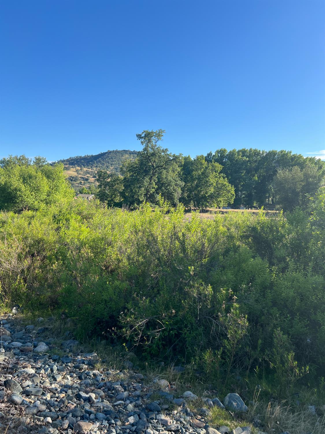 0 0 Live Oak Dr, Sanger, CA 93657