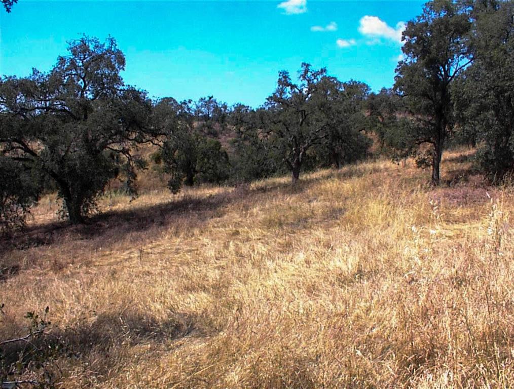 128 Hickory Ln, Yokuts Valley, CA 93675