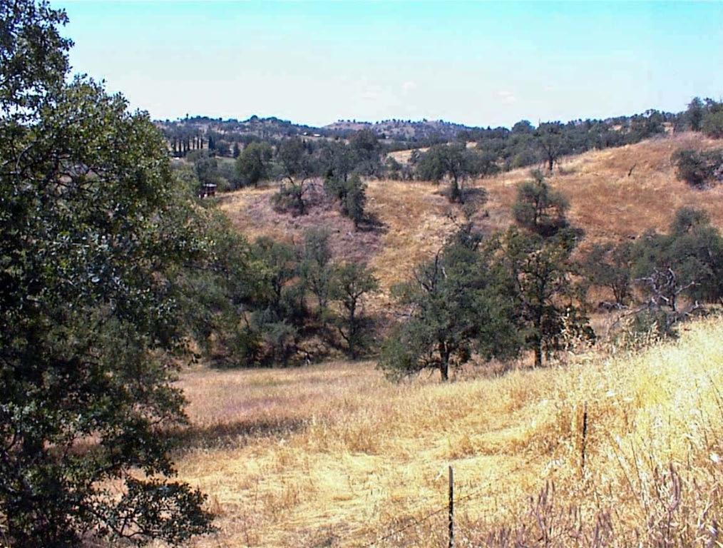 128 Hickory Ln, Yokuts Valley, CA 93675