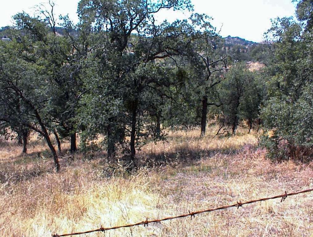 128 Hickory Ln, Yokuts Valley, CA 93675