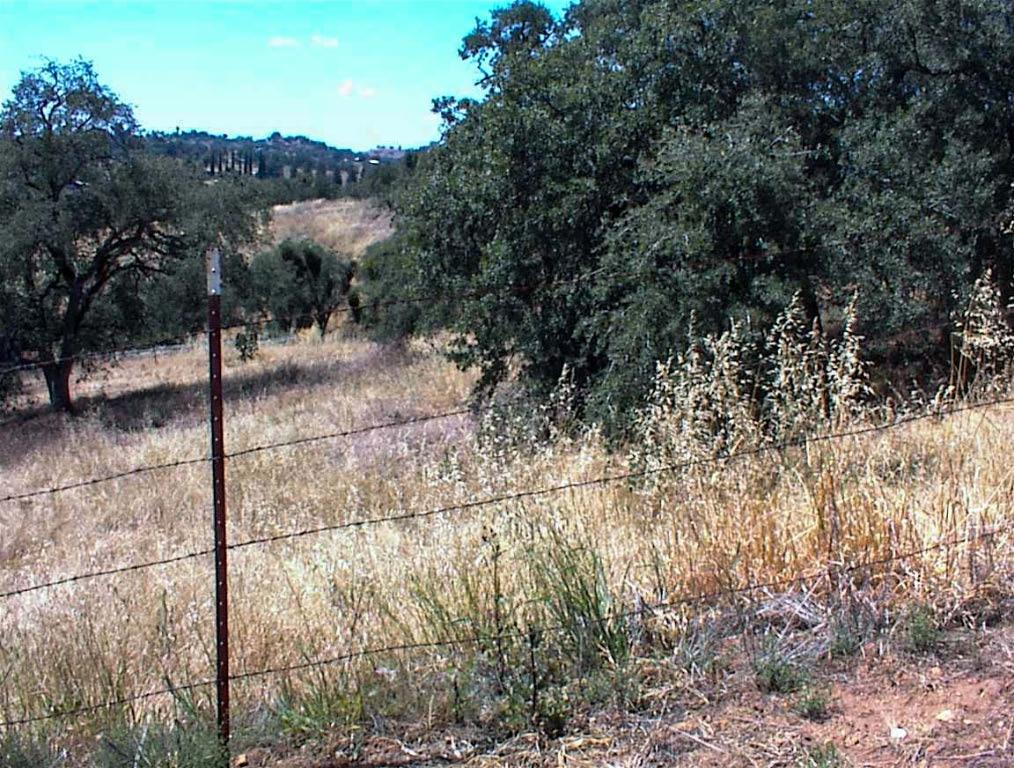 128 Hickory Ln, Yokuts Valley, CA 93675