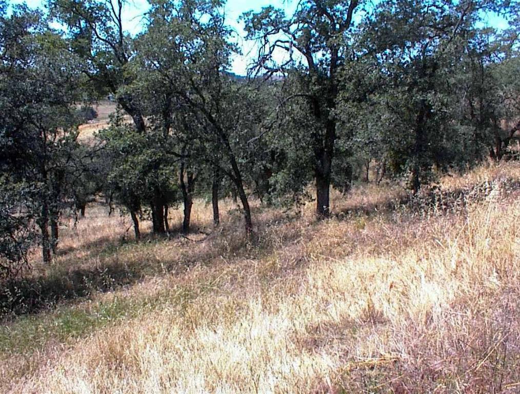 128 Hickory Ln, Yokuts Valley, CA 93675