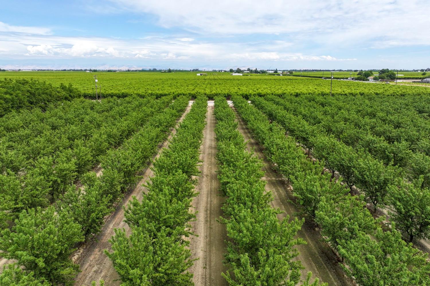 13910 E Mountain View Ave, Kingsburg, CA 93631