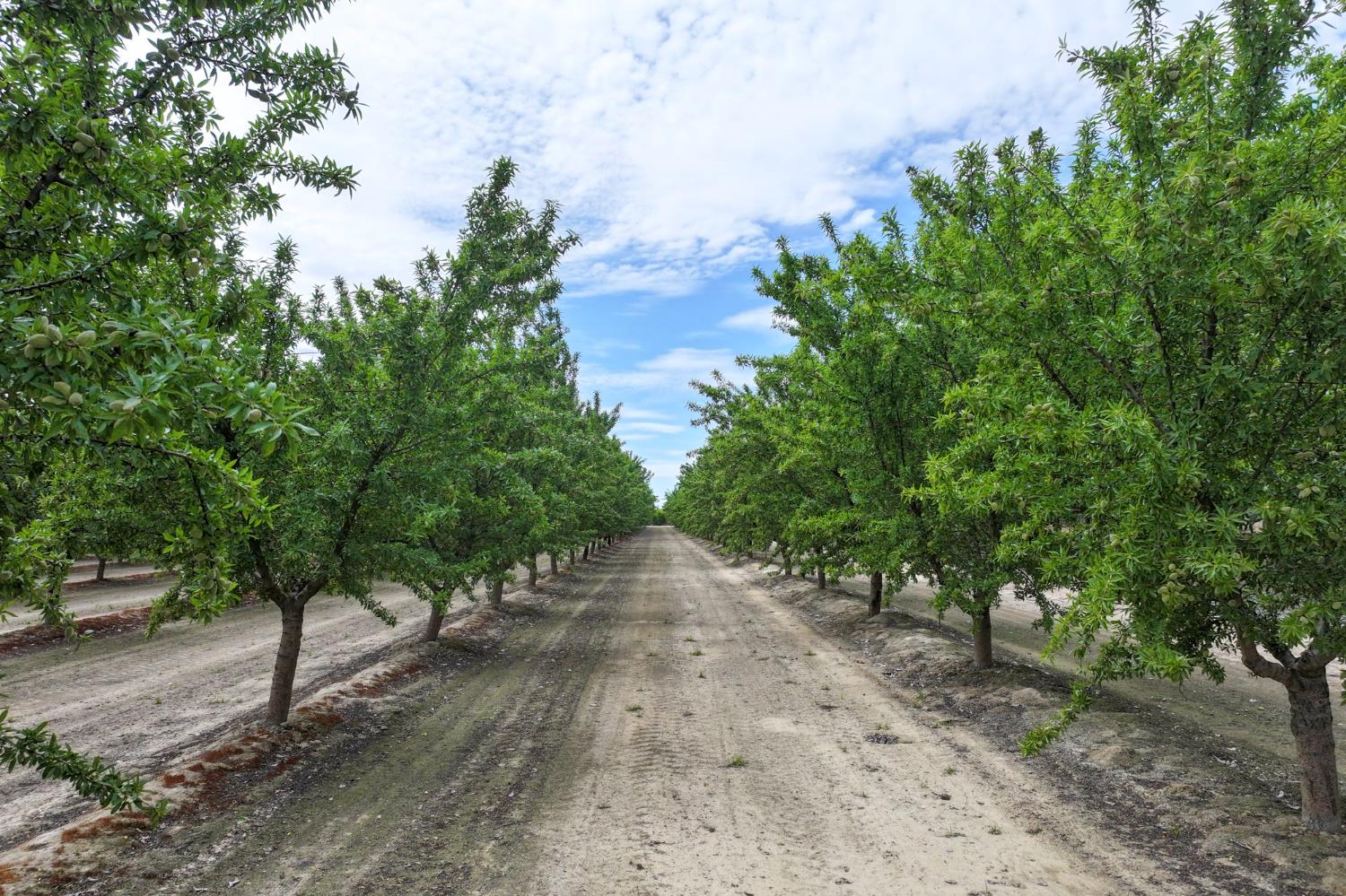 13910 E Mountain View Ave, Kingsburg, CA 93631