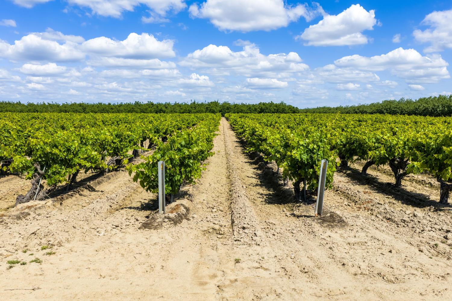 2854 N Monroe Ave, Fresno, CA 93723