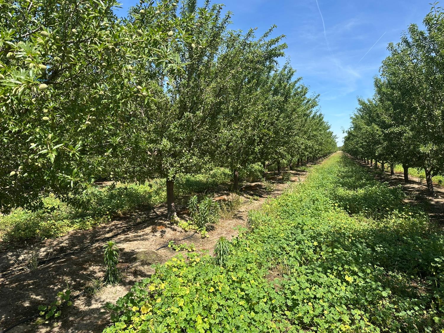 1 No Address Available, Selma, CA 93662