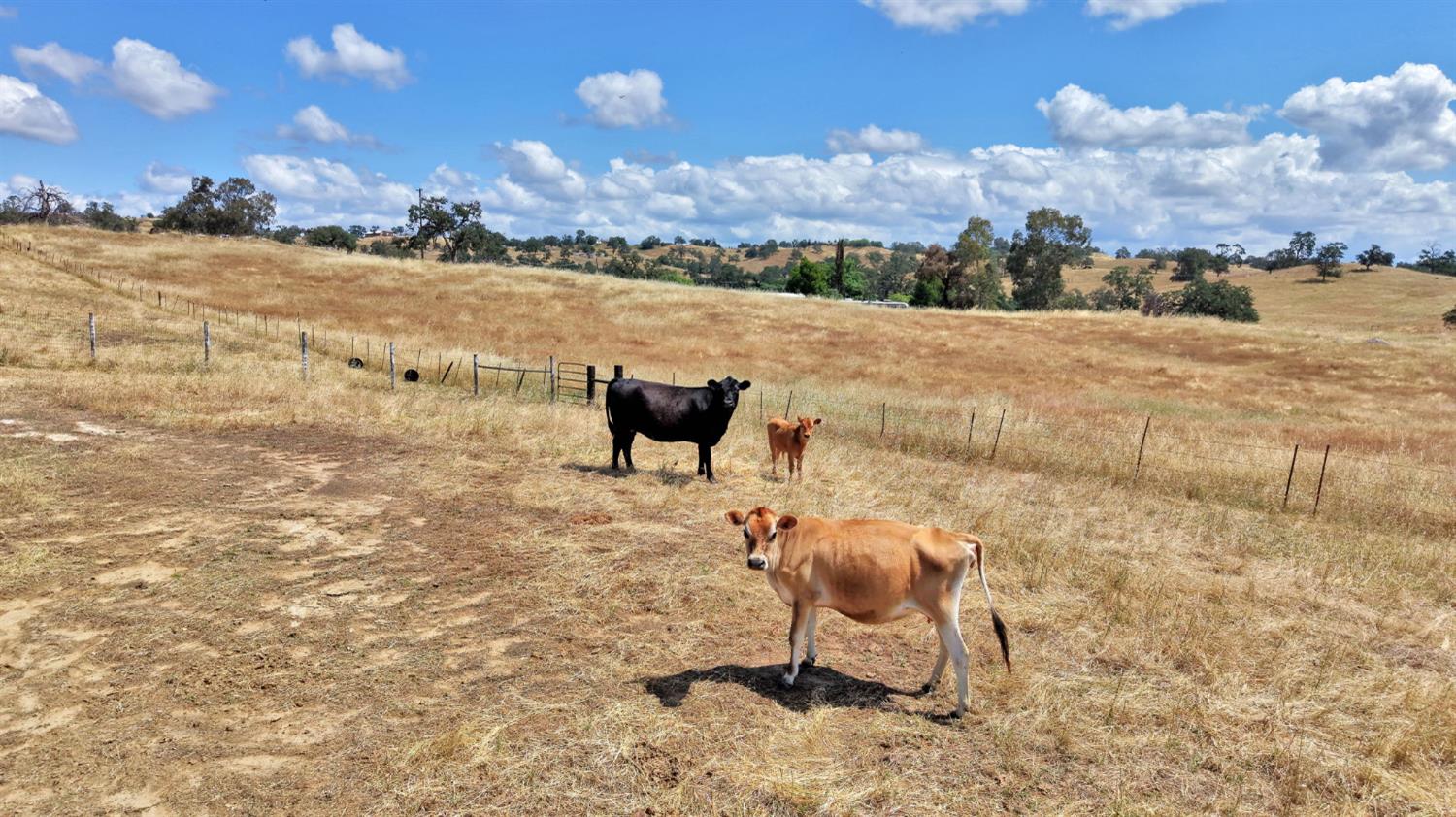 39523 Road 406, Madera, CA 93636