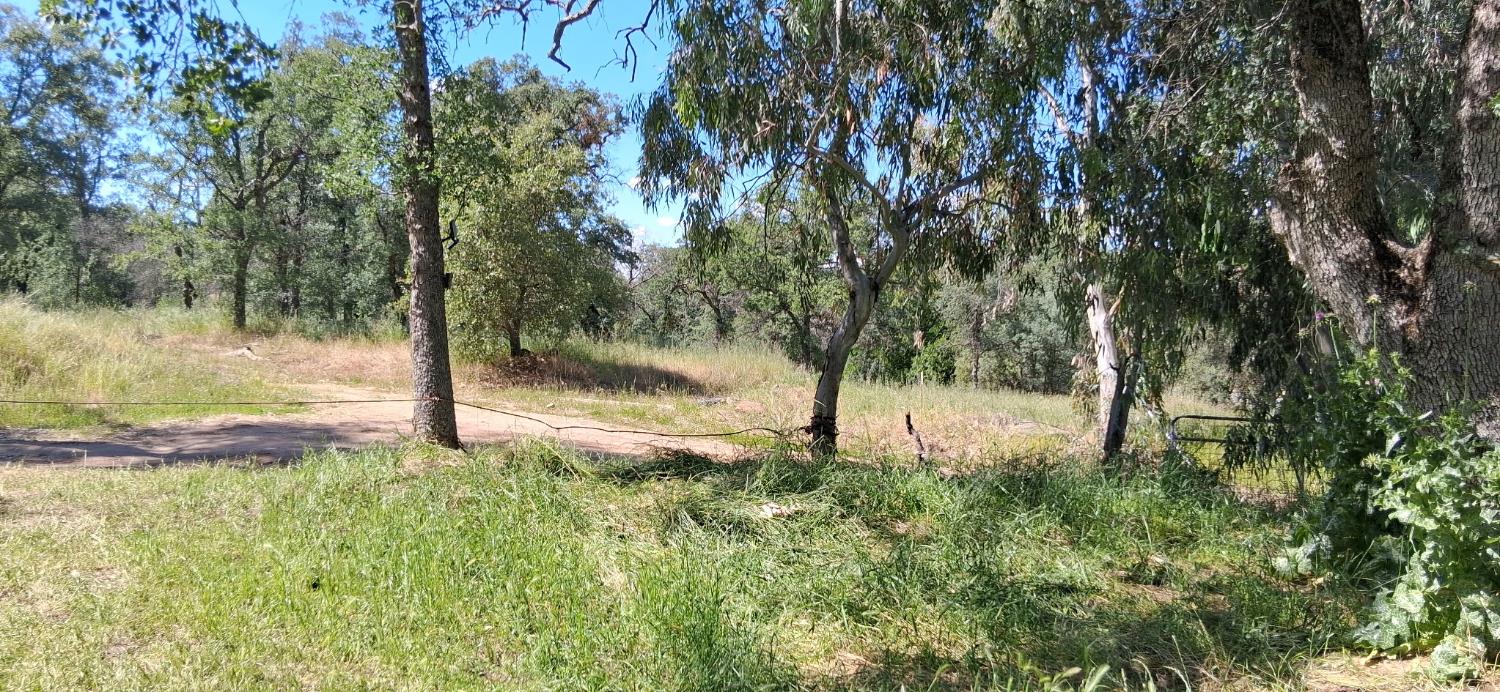 35778 Wells Rd, Coarsegold, CA 93614