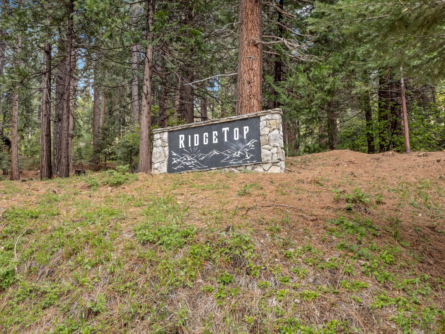 39076 Ridge Rd, Shaver Lake, CA 93664