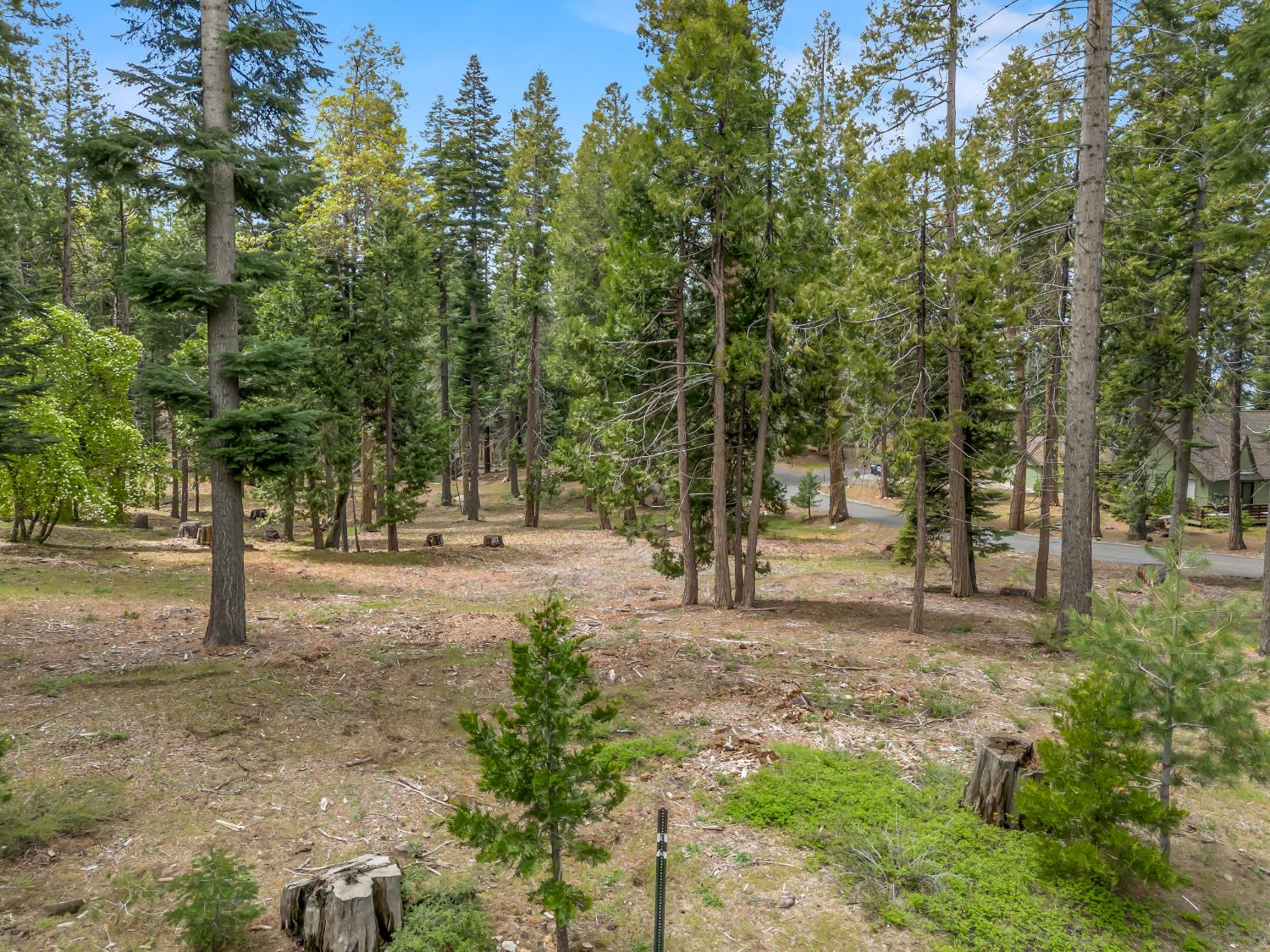 39076 Ridge Rd, Shaver Lake, CA 93664