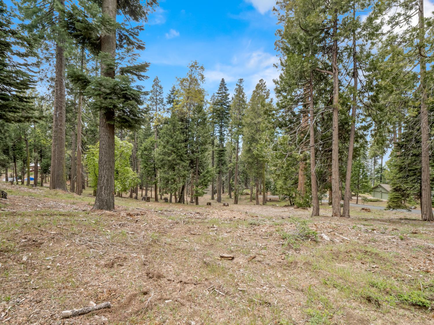 39076 Ridge Rd, Shaver Lake, CA 93664