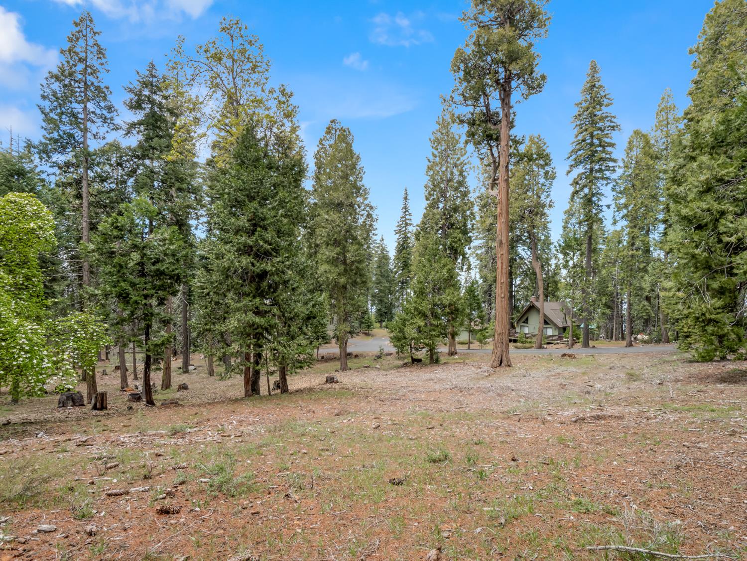 39076 Ridge Rd, Shaver Lake, CA 93664