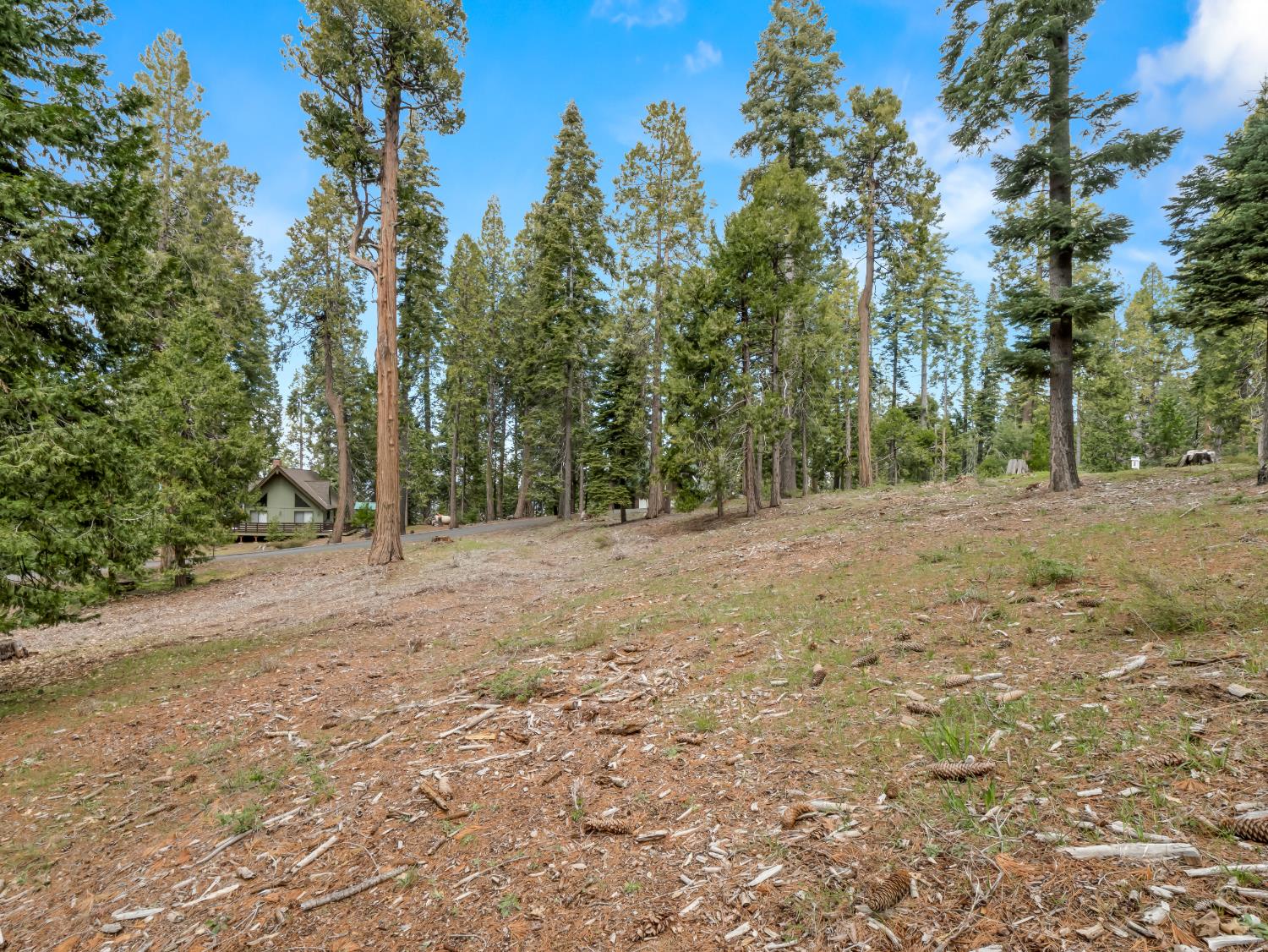 39076 Ridge Rd, Shaver Lake, CA 93664