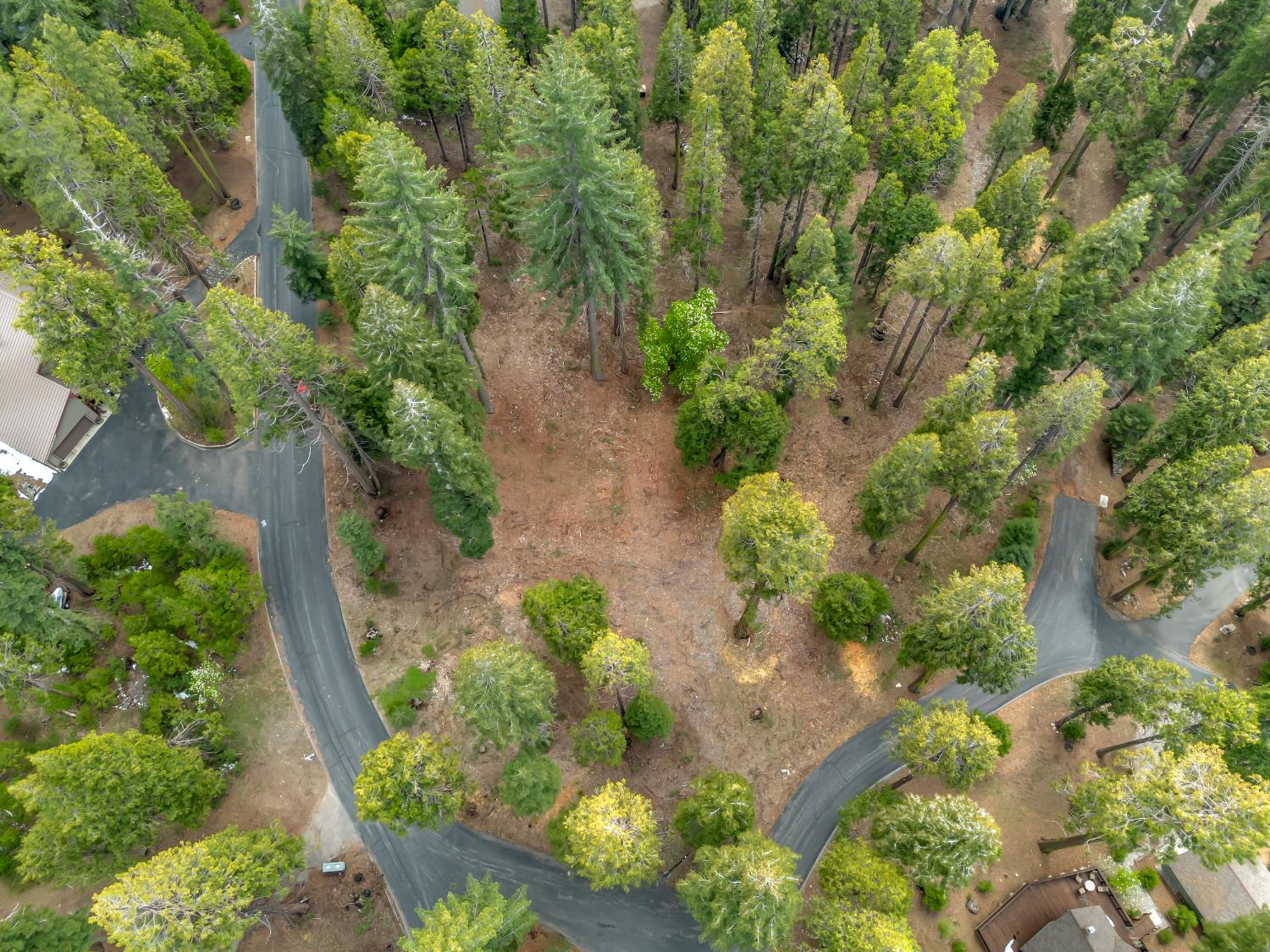 39076 Ridge Rd, Shaver Lake, CA 93664