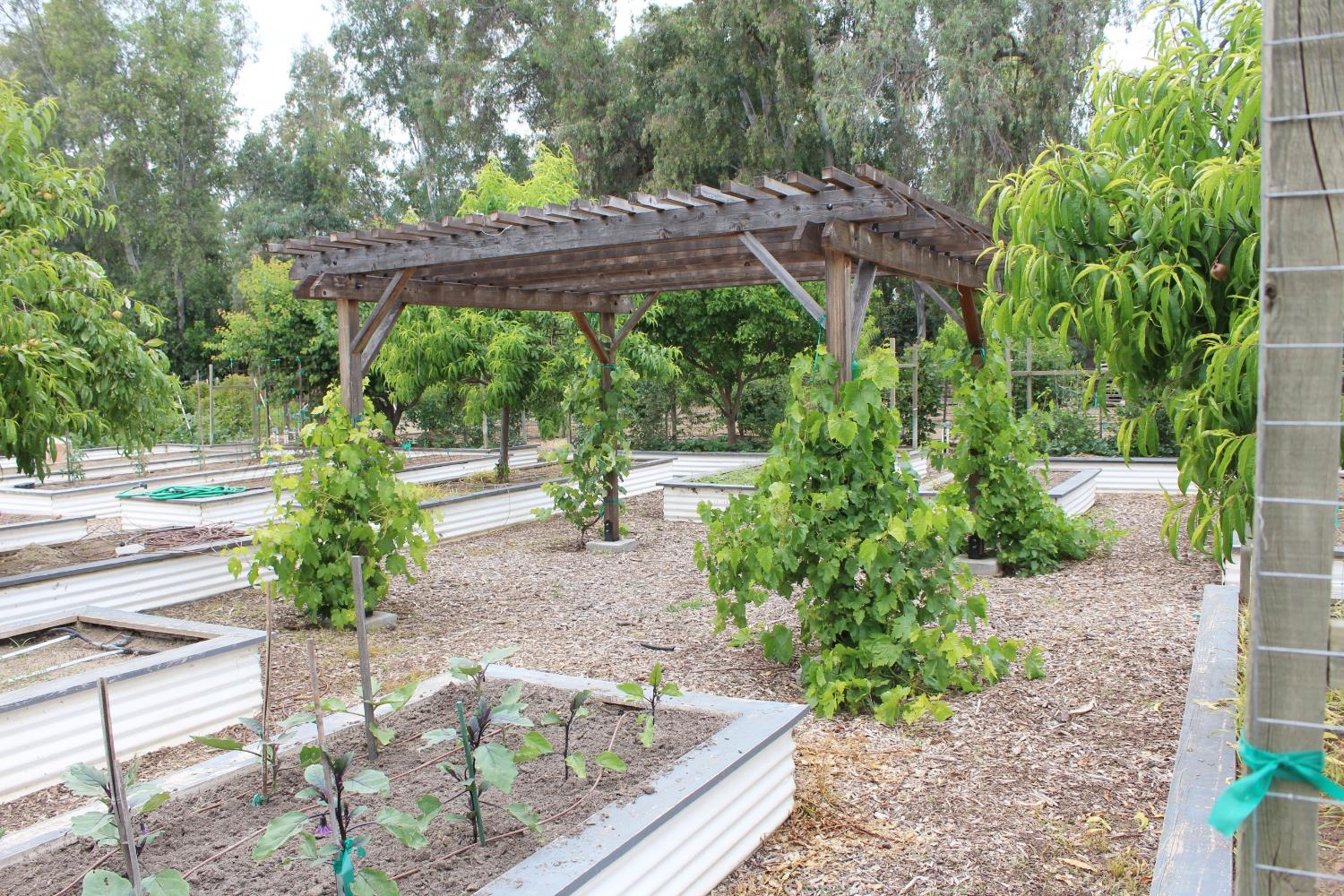 2307 N Hayes Ave, Fresno, CA 93723