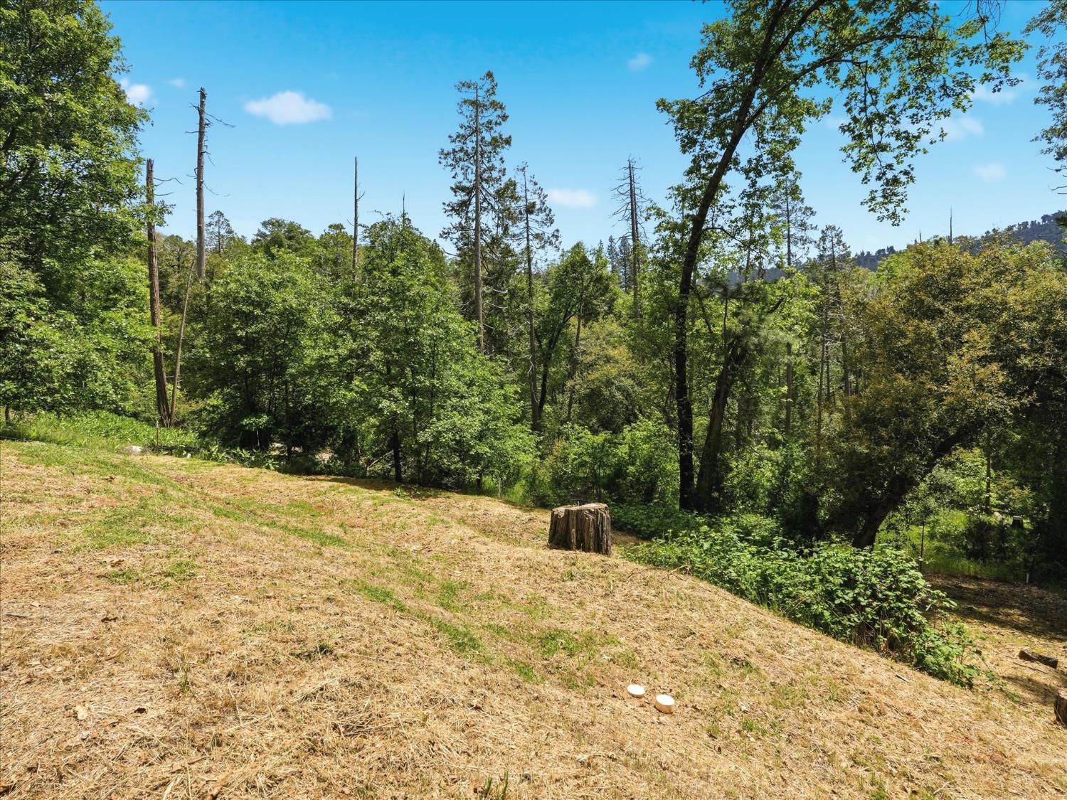 60036 Cascadel Dr S, North Fork, CA 93643