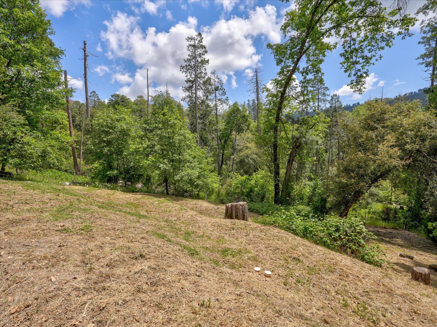 60036 Cascadel Dr S, North Fork, CA 93643