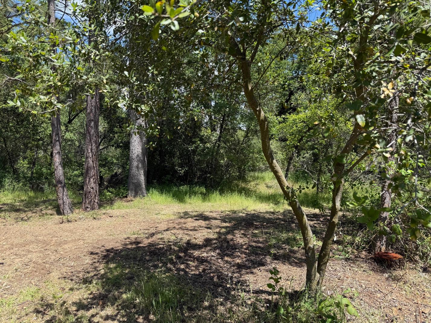 2 Road 601, Ahwahnee, CA 93601