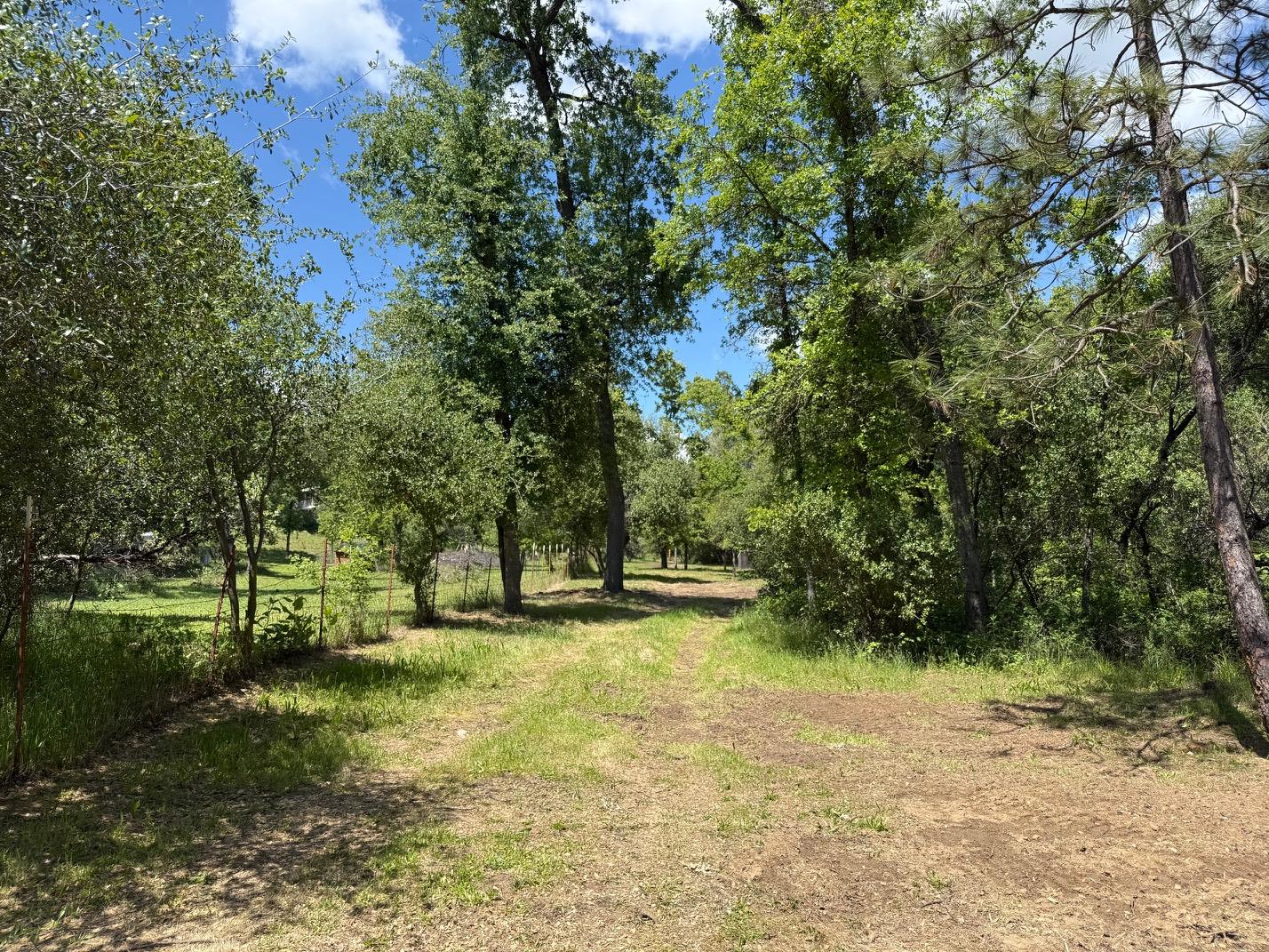 2 Road 601, Ahwahnee, CA 93601