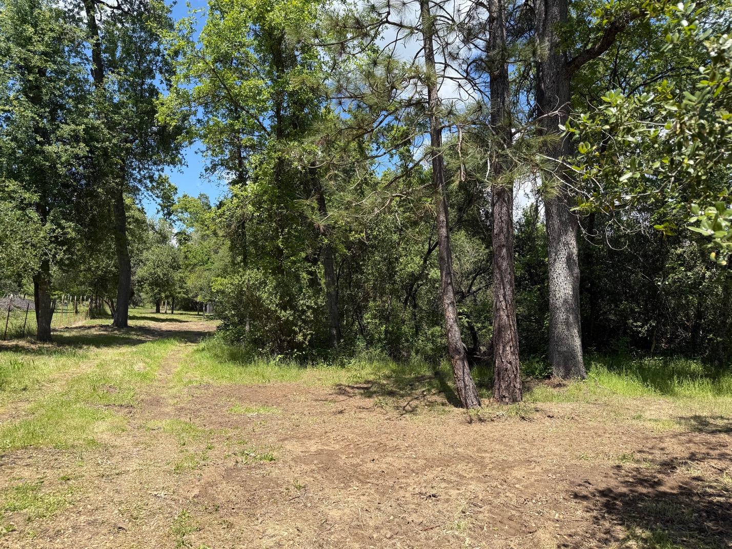 2 Road 601, Ahwahnee, CA 93601