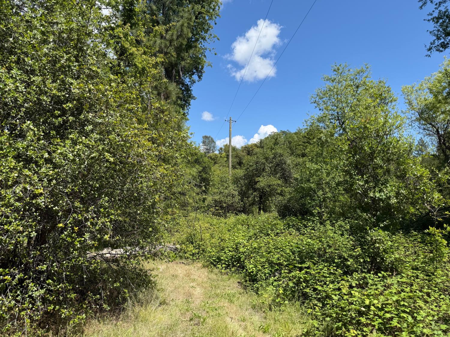 2 Road 601, Ahwahnee, CA 93601