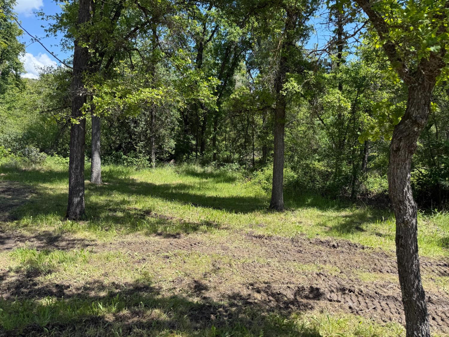 2 Road 601, Ahwahnee, CA 93601