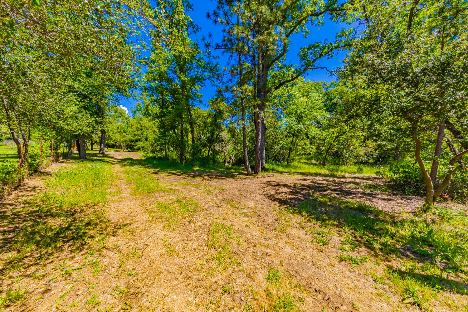 2 Road 601, Ahwahnee, CA 93601
