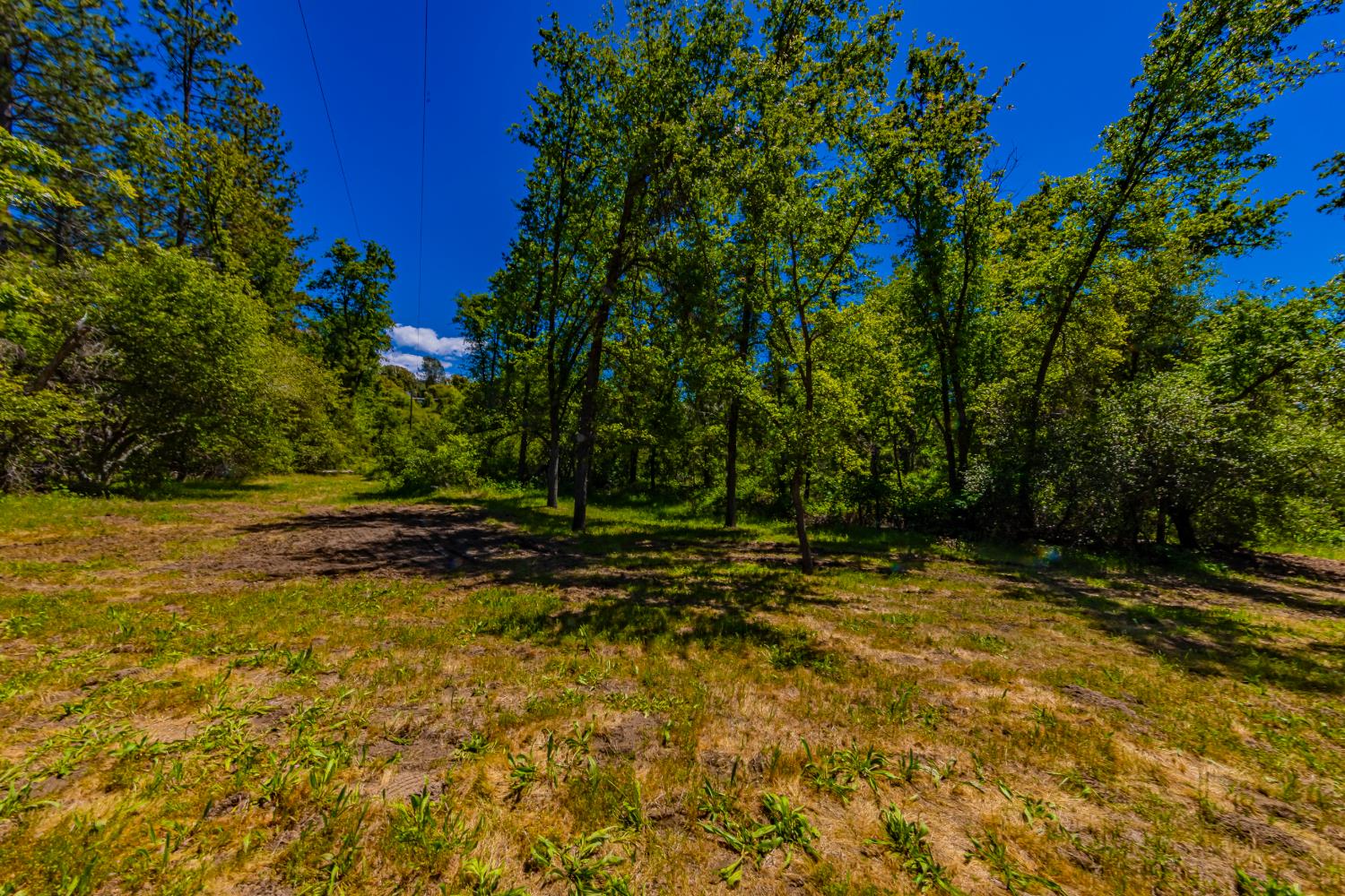 2 Road 601, Ahwahnee, CA 93601