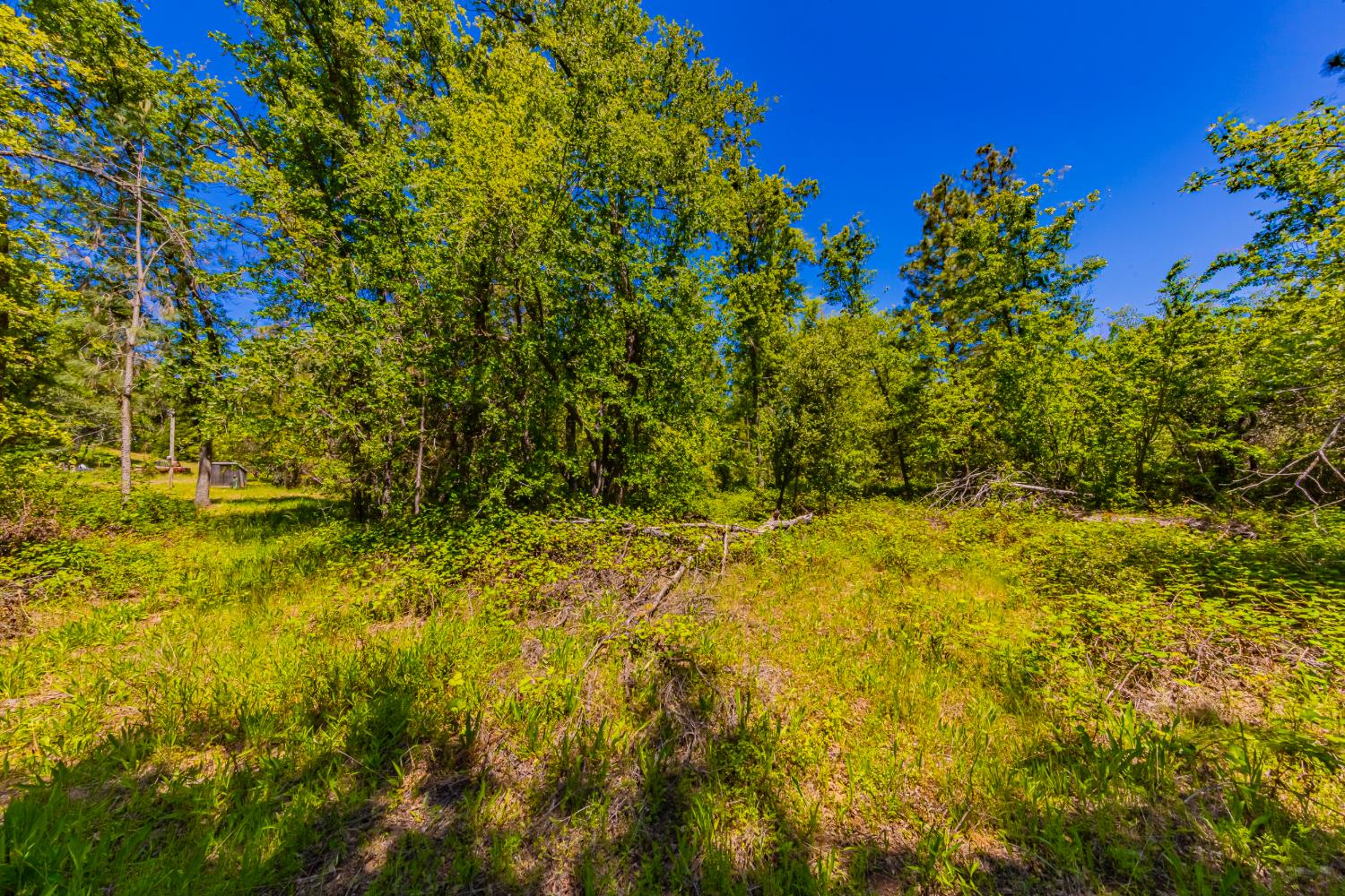 2 Road 601, Ahwahnee, CA 93601
