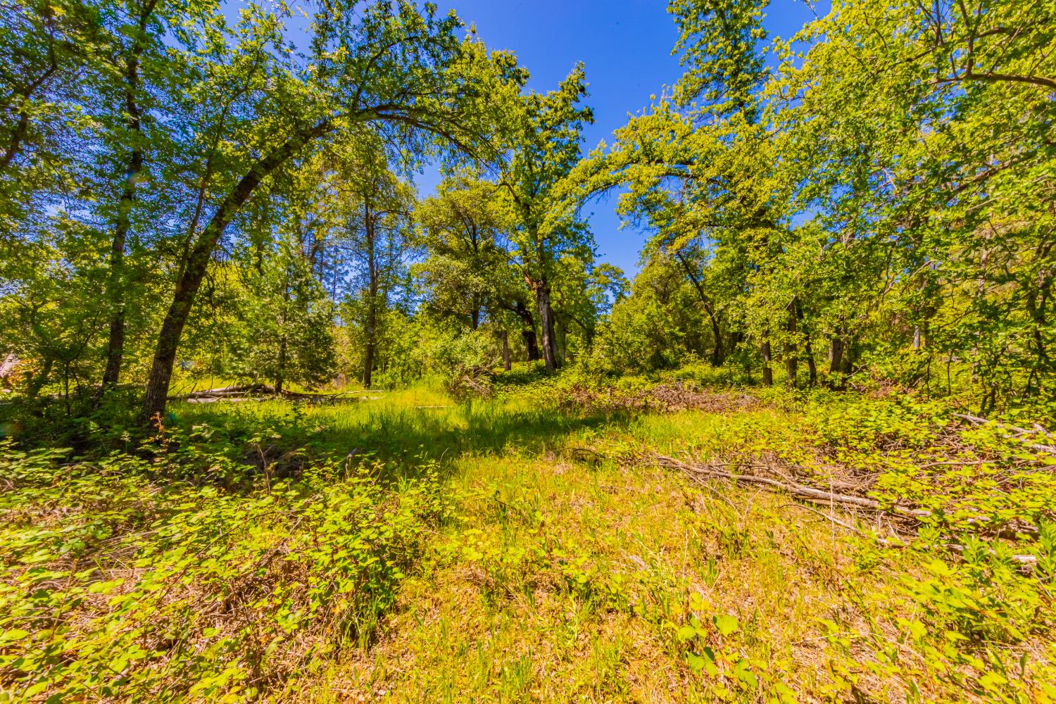 2 Road 601, Ahwahnee, CA 93601