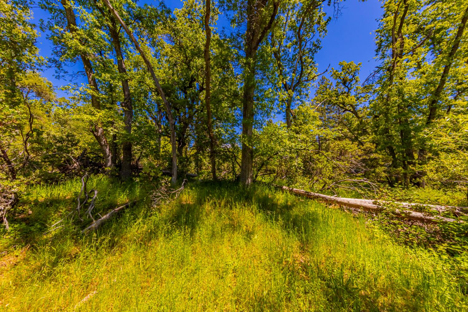 2 Road 601, Ahwahnee, CA 93601